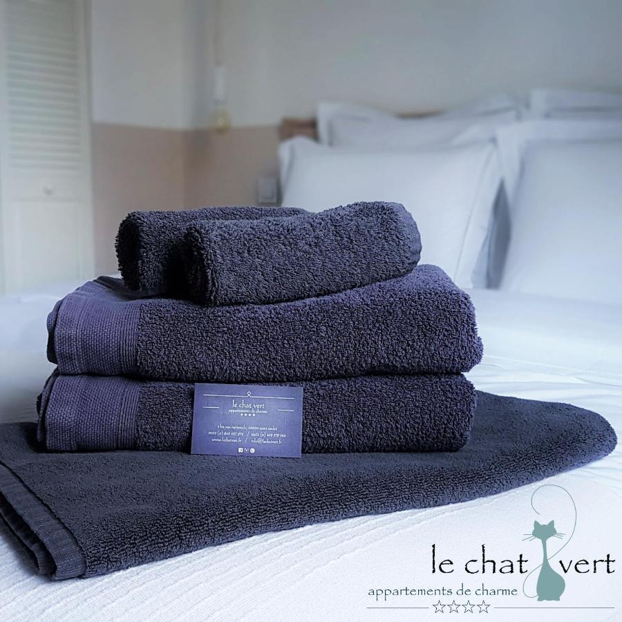 Le Chat Vert - Appartements Adults Only Saint-André Exterior photo
